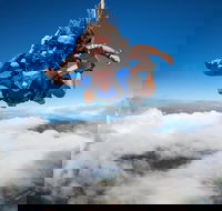 Reef and Rainforest Tandem Sky Dive in Cairns - Accommodation Broadbeach