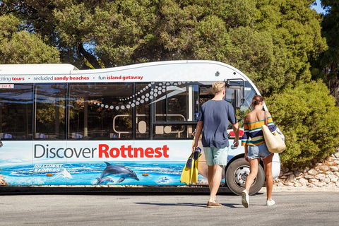 Discover Rottnest With Ferry & Bus Tour From Perth Or Fremantle - Accommodation Broadbeach 1