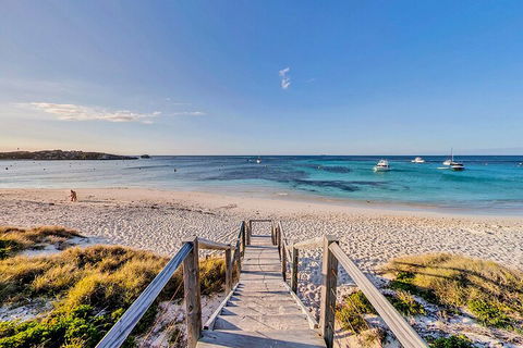 Discover Rottnest With Ferry & Bus Tour From Perth Or Fremantle - Accommodation Broadbeach 4