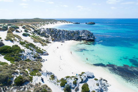 Discover Rottnest With Ferry & Bus Tour From Perth Or Fremantle - Accommodation Broadbeach 5