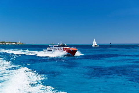 Rottnest Island Round-Trip Ferry From Perth Or Fremantle - Accommodation Broadbeach 4