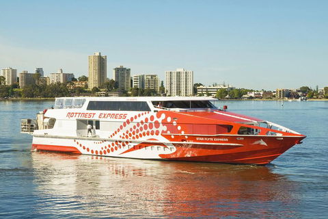 Rottnest Island Round-Trip Ferry From Perth Or Fremantle - Accommodation Broadbeach 5