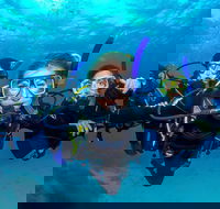 Great Barrier Reef Diving and Snorkeling Cruise from Cairns - Accommodation Broadbeach