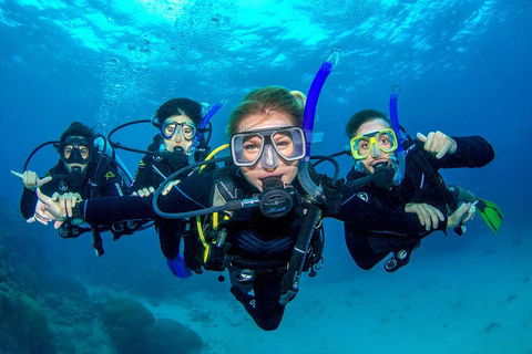 Great Barrier Reef Diving And Snorkeling Cruise From Cairns - Accommodation Broadbeach 0