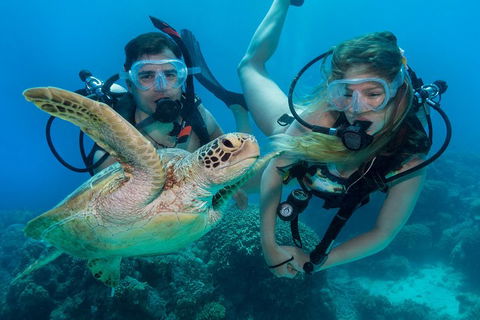 Great Barrier Reef Diving And Snorkeling Cruise From Cairns - Accommodation Broadbeach 4