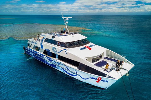 Great Barrier Reef Diving And Snorkeling Cruise From Cairns - Accommodation Broadbeach 5