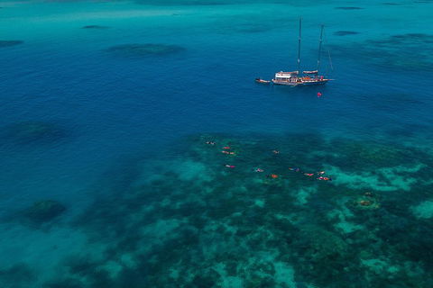 Ocean Free Green Island & Great Barrier Reef Snorkel Cruise, Cairns 25 Guests - Accommodation Broadbeach 5