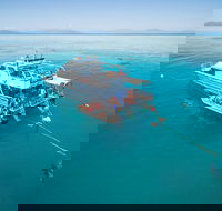 Ocean Freedom Great Barrier Reef Personal Luxury Snorkel  Dive Cruise Cairns - Accommodation Broadbeach