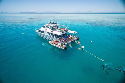 Ocean Freedom Great Barrier Reef Personal Luxury Snorkel & Dive Cruise, Cairns - Accommodation Broadbeach 0