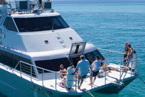 Ocean Freedom Great Barrier Reef Personal Luxury Snorkel & Dive Cruise, Cairns - Accommodation Broadbeach 1