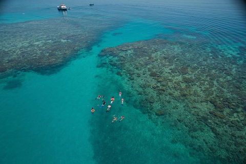 Ocean Freedom Great Barrier Reef Personal Luxury Snorkel & Dive Cruise, Cairns - Accommodation Broadbeach 3