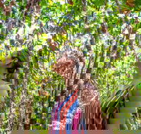 5 Day Australia Retreat Queensland Daintree - Accommodation Broadbeach