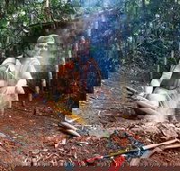 Kuranda Highlights including Rainforestation Aboriginal Culture and Wildlife - Accommodation Broadbeach