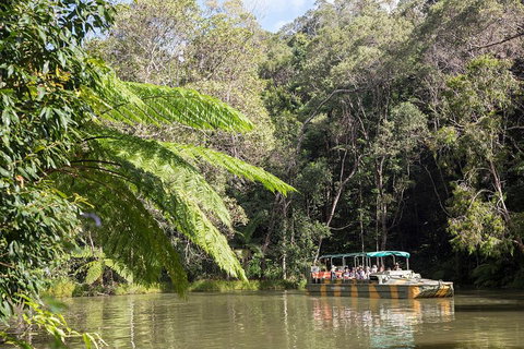 Best Of Kuranda Including Skyrail, Kuranda Scenic Railway And Rainforestation - Accommodation Broadbeach 5