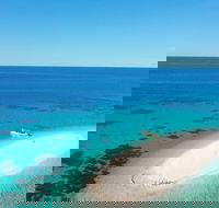 Ocean Safari Great Barrier Reef Experience in Cape Tribulation - Accommodation Broadbeach