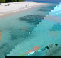 Fitzroy Island Day Trip from Cairns - Accommodation Broadbeach