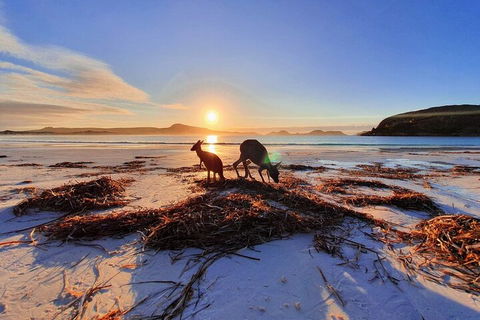 10-Day Perth To Adelaide Adventure Tour - Accommodation Broadbeach 1