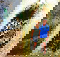 Rottnest Island Full-Day Trip With Guided Island Tour From Perth - Accommodation Broadbeach