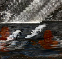 3 Day 4WD Dragonfly Dreaming Top End Safari - Accommodation Broadbeach