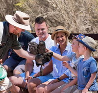 2 day Ultimate Kangaroo Island with return ferry - Accommodation Broadbeach
