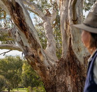 NEW TOUR - Kangaroo Island Road to Recovery Tour 1 Day/1 Night - Accommodation Broadbeach