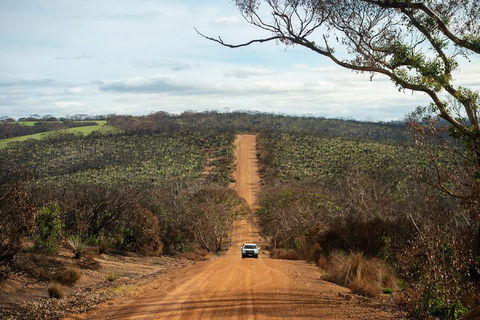 NEW TOUR - Kangaroo Island Road To Recovery Tour (1 Day/1 Night) - Accommodation Broadbeach 2