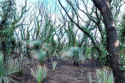 NEW TOUR - Kangaroo Island Road To Recovery Tour (1 Day/1 Night) - Accommodation Broadbeach 3