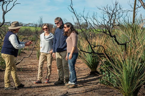 NEW TOUR - Kangaroo Island Road To Recovery Tour (1 Day/1 Night) - Accommodation Broadbeach 4