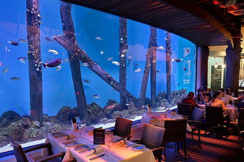 Cairns Aquarium And Small Group City Sightseeing Tour - Accommodation Broadbeach 4