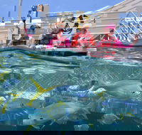 Outer Reef Pontoon Experience from Cairns - Accommodation Broadbeach