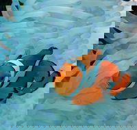 Seastar Luxury Outer Great Barrier Reef Island and Reef Tour from Cairns - Accommodation Broadbeach