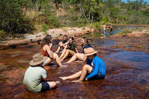 Litchfield National Park Waterfalls And Wildlife Tour From Darwin - Accommodation Broadbeach 1