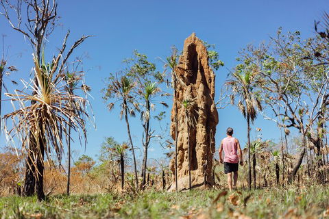 Litchfield National Park Waterfalls And Wildlife Tour From Darwin - Accommodation Broadbeach 4