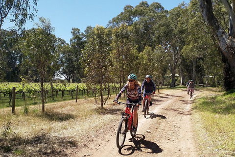 McLaren Vale Wine Tour By Bike - Accommodation Broadbeach 1