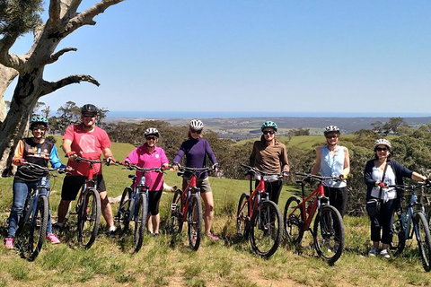 McLaren Vale Wine Tour By Bike - Accommodation Broadbeach 2