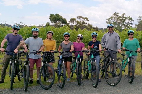 McLaren Vale Wine Tour By Bike - Accommodation Broadbeach 4