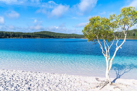 Lake McKenzie Full-Day Tour With Lunch From Hervey Bay - Accommodation Broadbeach 1
