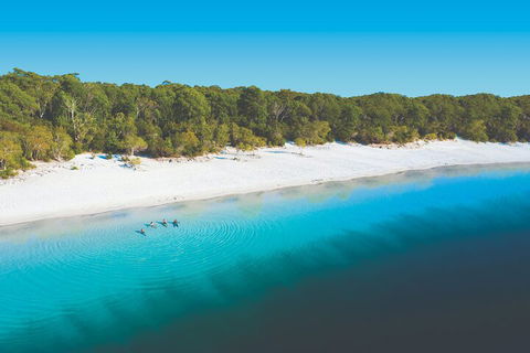 Lake McKenzie Full-Day Tour With Lunch From Hervey Bay - Accommodation Broadbeach 4