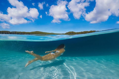 Lake McKenzie Full-Day Tour With Lunch From Hervey Bay - Accommodation Broadbeach 5