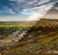 Perth to Margaret River Wine Tour - 2 Day Premium Boutique Wine Tour Experience - Accommodation Broadbeach