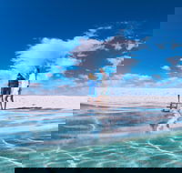 4-Day Coastal Loop via Monkey Mia Wild Dolphins Kalbarri Pinnacles Perth Return - Accommodation Broadbeach