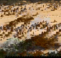 Pinnacles Sunset Dinner and Stargazing Experience a Small Group Tour - Accommodation Broadbeach