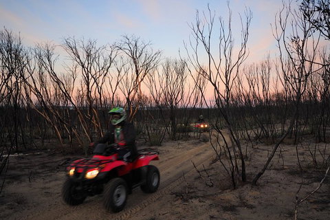 Kangaroo Island Quad Bike (ATV) Tours - Accommodation Broadbeach 1