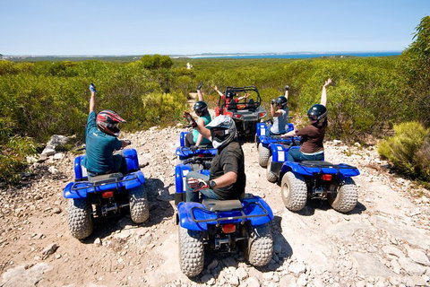 Kangaroo Island Quad Bike (ATV) Tours - Accommodation Broadbeach 3