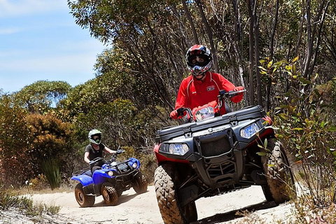 Kangaroo Island Quad Bike (ATV) Tours - Accommodation Broadbeach 5