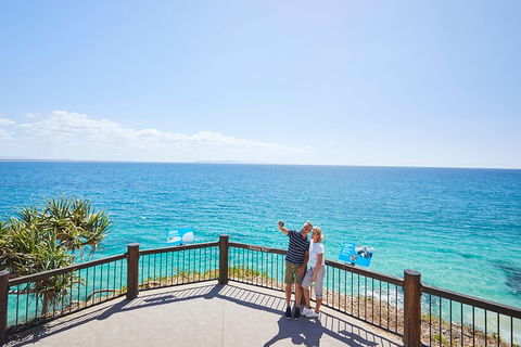 Noosa Everglades Serenity Cruise & Highlights Tour Inc. Lunch & Cruise - Accommodation Broadbeach 3