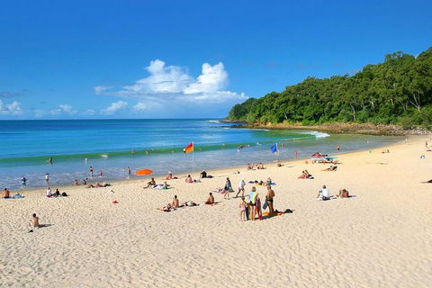 Noosa Everglades Serenity Cruise & Highlights Tour Inc. Lunch & Cruise - Accommodation Broadbeach 4