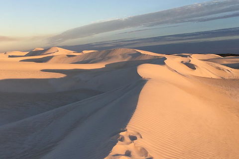 Pinnacles Desert Private Tour - Accommodation Broadbeach 1