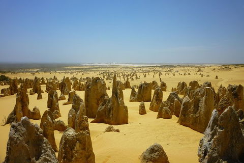 Pinnacles Desert Private Tour - Accommodation Broadbeach 2