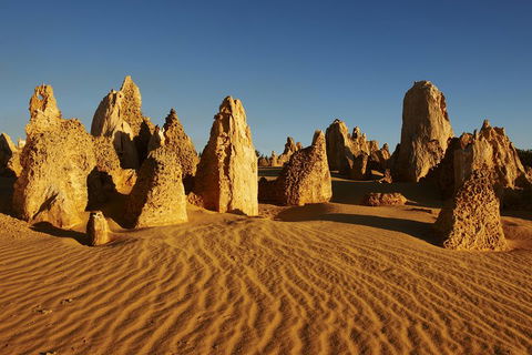 Pinnacles Desert Private Tour - Accommodation Broadbeach 4